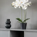 Apartment White And Grey In Cracow With Parking By Renters Krakow