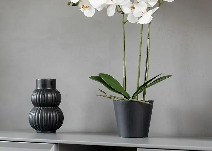 Apartman White And Grey In Cracow With Parking By Renters Krakkó