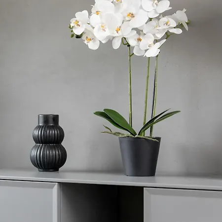 Apartment White And Grey In Cracow With Parking By Renters Krakau